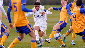 เว็บแทงบอล แนะนำ